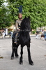 Immagine <b>REG_8209</b>